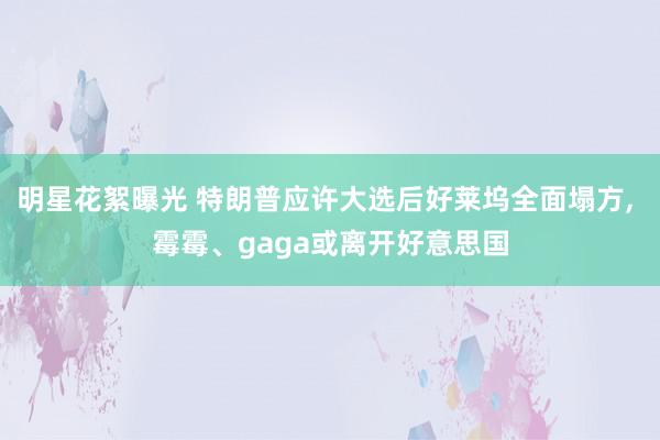 明星花絮曝光 特朗普应许大选后好莱坞全面塌方, 霉霉、gaga或离开好意思国