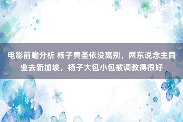 电影前瞻分析 杨子黄圣依没离别，两东说念主同业去新加坡，杨子大包小包被调教得很好